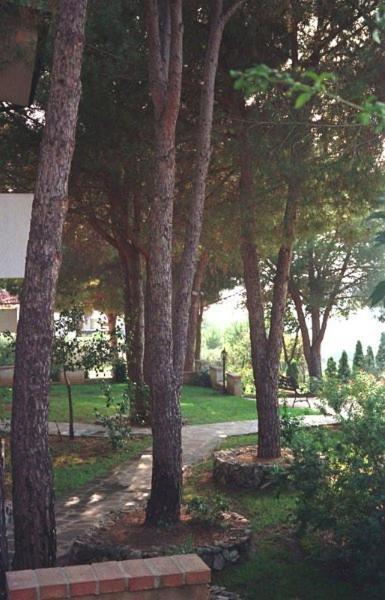 Villaggio Pineta Petto Bianco กาโปวาติกาโน ภายนอก รูปภาพ